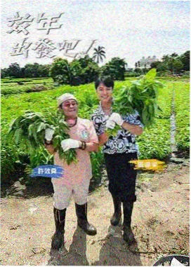 向往的生活海岛篇 - 6080电影网